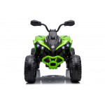 Elektrická Štvorkolka - CAN-AM Renegate - zelená